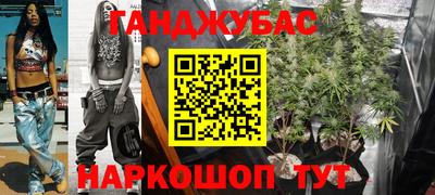 дмт Новодвинск