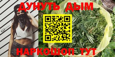 дмт Новодвинск