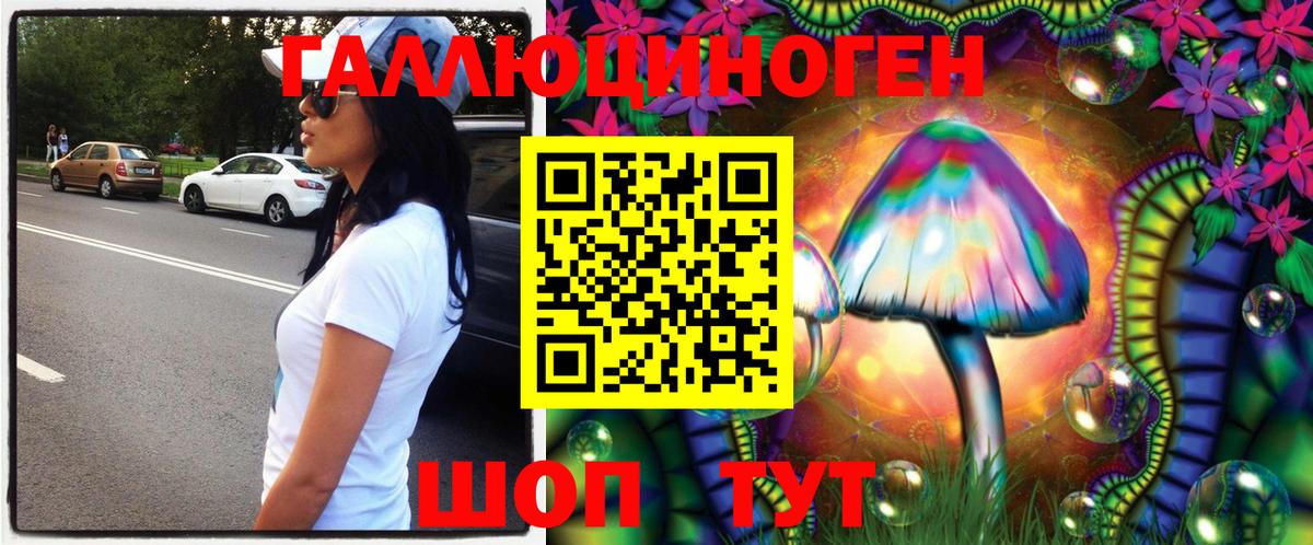 Псилоцибиновые грибы Cubensis Стерлитамак