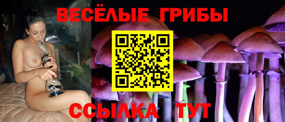 Галлюциногенные грибы MAGIC MUSHROOMS  Стерлитамак 