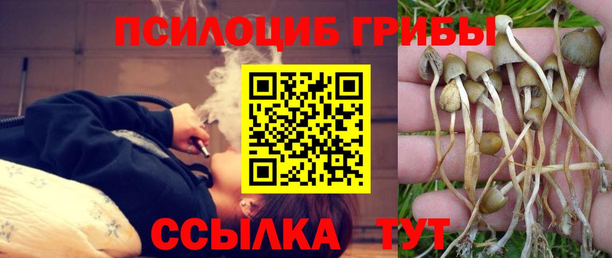Псилоцибиновые грибы Magic Shrooms  Вход с VPN  Стерлитамак 